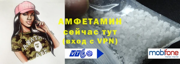мет Алексин