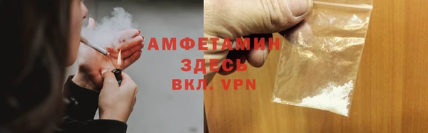 мет Алексин
