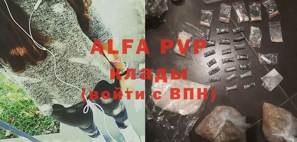 СК Алзамай